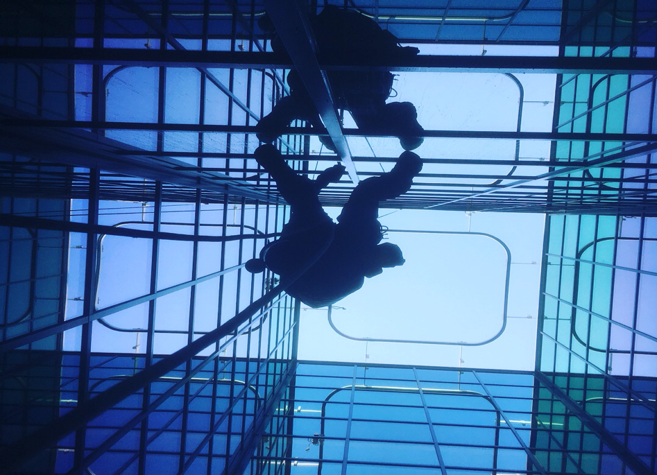 Rope access koepel